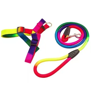 Ensemble harnais et laisse pour chien arc-en-ciel vibrant pour la promenade des chiens