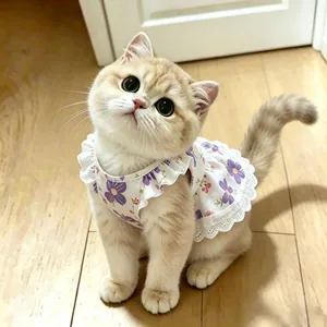 Detailed view of breathable floral pet dress with delicate lace trim on a kitten