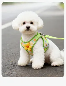 Gros plan d'un chien portant un harnais et une laisse ajustables à motif floral.