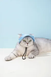 Gedetailleerd beeld van een kat met een lichtblauw geruite zonnehoed voor huisdieren