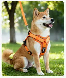 Detail eines atmungsaktiven orangefarbenen Hundegeschirrs mit Leine im Freien getragen