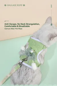Dettaglio gatto con pettorina verde traspirante, orsetto e fiocco decorativo