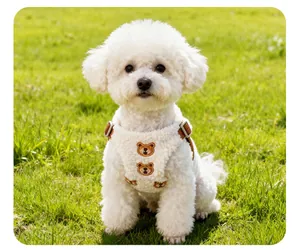 Detailed view of the cute bear embroidered lamb wool dog harness on a white puppy