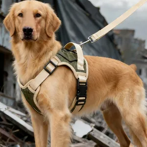 Harnais tactique durable de qualité supérieure et ensemble de laisse pour grands chiens