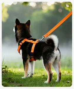 Professionelles orangefarbenes ausbruchsicheres Hundegeschirr mit Leine im Park.