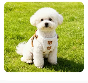 White lamb wool dog harness with cute teddy bear embroidery on green grass.
