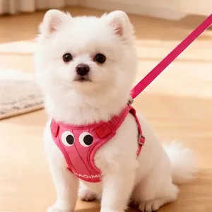 Harnais pour chien rose anti-évasion avec laisse pour petits chiens, respirant et confortable