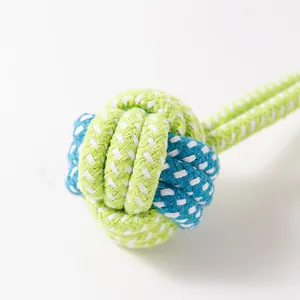 Detailed close-up showing the durable woven texture of a blue and green cotton rope dog toy