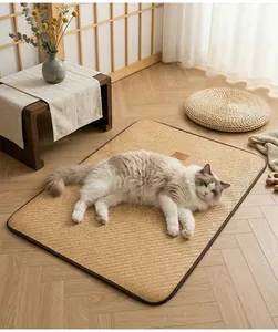 Gros plan d'un chat pelucheux sur un tapis de refroidissement en rotin tressé