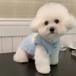 Gros plan d'un petit chien blanc portant une veste polaire bleu clair pour chien
