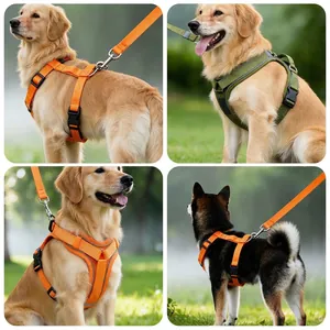 Atmungsaktives, ausbruchsicheres Hundegeschirr und Leine für große Hunde
