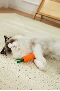 Toma detallada de un gato Ragdoll abrazando un juguete de zanahoria de cuerda de papel