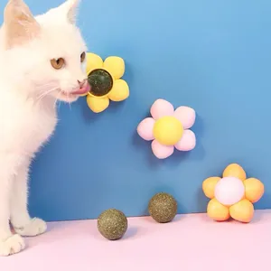 An der Wand montiertes Katzenminze Spielzeug in Blumenform wird von Kätzchen geleckt