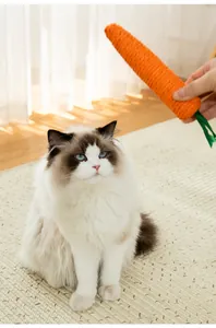 Juguete masticable de zanahoria para gatos de cuerda de papel para jugar en casa