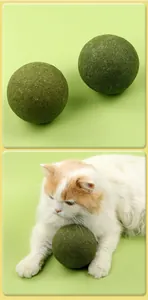 Detailed view of a 10cm large catnip ball toy showing the natural plant texture.