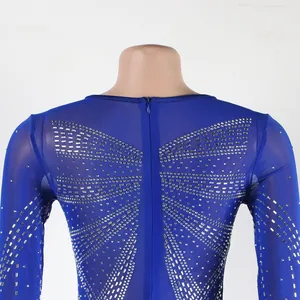 Detailed back view of a blue mesh dress with intricate rhinestone patterns and zipper.