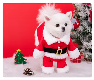 Detailed macro view of a cute white dog wearing a festive Santa Claus pet costume for Christmas