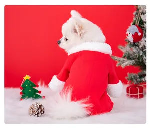 Small dog in a festive red and white Santa costume on a fluffy white snow background