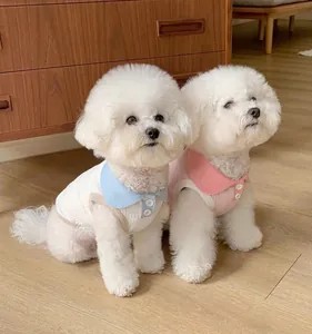 Zwei weiße Hunde tragen stylische pastellrosa und blaue Haustier-Poloshirts zu Hause.