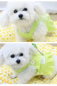 Robe harnais vert citron pour petit chien avec broderie marguerite et jolis volants