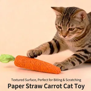 Giocattolo per gatti a carota in erba di carta naturale per morsi e graffi felini