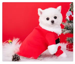 Detail view of festive red and white Santa Claus dog costume on a white Pomeranian.