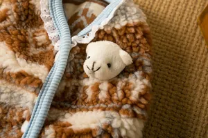 Primo piano del caldo gilet in pile per animali con orsetto di peluche e pizzo