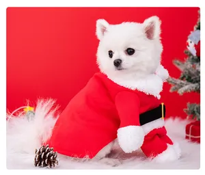 Festive red Christmas dog outfit with white fur trim and belt detail for small pets.