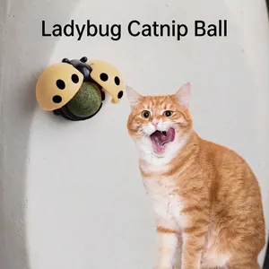 Wandmontierte Katzenminze Ball Spielzeug Marienkäfer Igel Kürbis Avocado Form Rotierendes Katzenspielzeug Zur Zahnreinigung Angstlinderung Haustier Zubehör