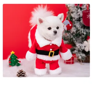 Detailed view of small white dog in red Santa Claus outfit with festive Christmas tree
