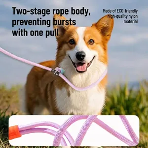 High-quality adjustable purple P-chain dog leash worn by a Corgi in a scenic outdoor setting.