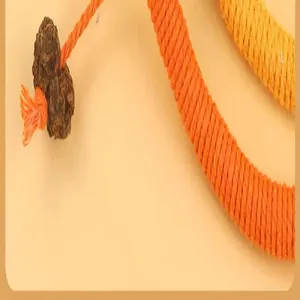 Close-up of cat rope toy with natural gall fruit and durable braided cotton fibers.