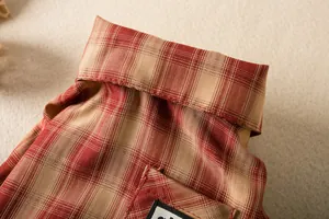 Macro view of red and beige plaid pet shirt fabric texture and collar detail