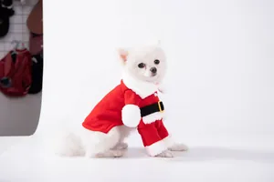 Detailansicht eines weißen Hundes in einem festlichen roten Weihnachtsmann-Outfit