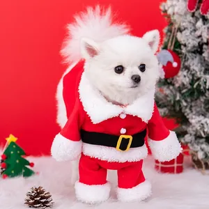 Cute small white dog wearing a festive Santa Claus standing costume in a Christmas scene