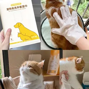 Gants de toilettage jetables pour animaux, lot de 6, nettoyage sans rinçage