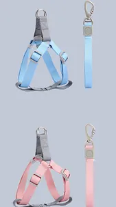 Set pettorina e guinzaglio per cani regolabile in nylon resistente, colori blu e rosa.
