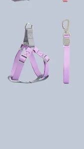 Dettaglio del set pettorina e guinzaglio in nylon viola macaron con cinghie regolabili