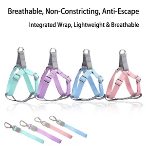 Set pettorina e guinzaglio regolabili in nylon per cani in quattro colori macaron per pet