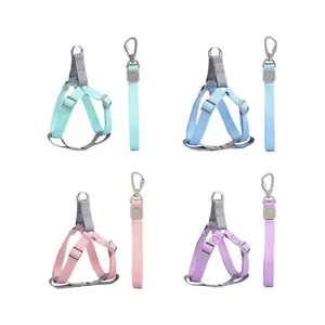 Set pettorina e guinzaglio per cani in nylon regolabile in quattro colori macaron