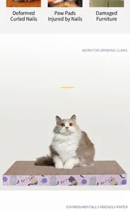 Chat à poils longs assis sur un griffoir en carton ondulé avec de jolis motifs