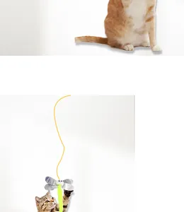 Jouet interactif suspendu pour chat avec une libellule en peluche et un cordon