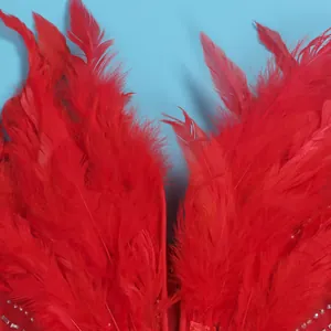 Detailansicht der leuchtend roten Federn und zarten Strassakzente auf einem Kleid