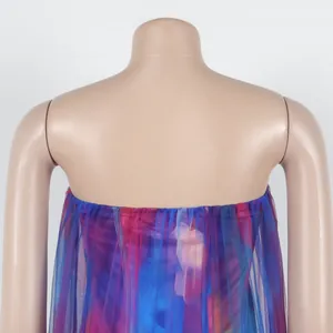 Vue détaillée de dos d'une robe moulante colorée en tulle transparent sur un mannequin