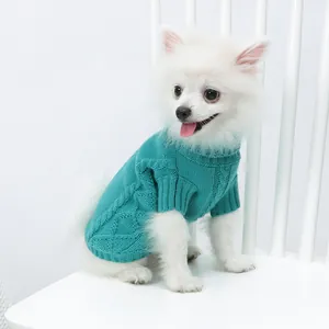Détail d'un pull en tricot torsadé turquoise pour chien porté par un petit chiot