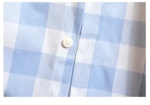 Close-up of white button and texture on blue and white gingham cotton men's casual shirt