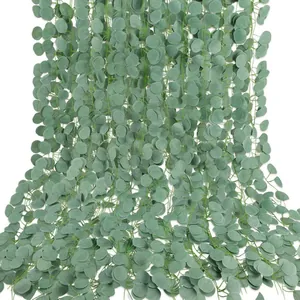 Dense artificial eucalyptus vines with round gray-green leaves on white background