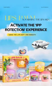 Detail view of MEIDIAN 4-pack lip balm set showing colorful moisturizing balm jars