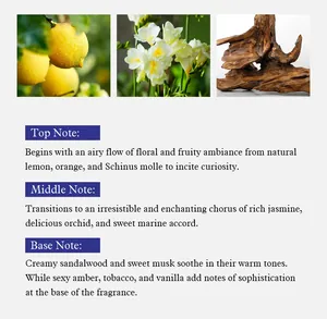 Profil olfactif détaillé du parfum à bille sans alcool montrant les notes de tête.