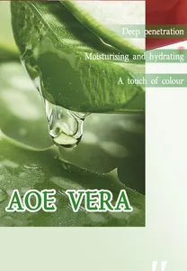 Detailed macro shot of fresh aloe vera leaf representing moisturizing lipstick ingredients